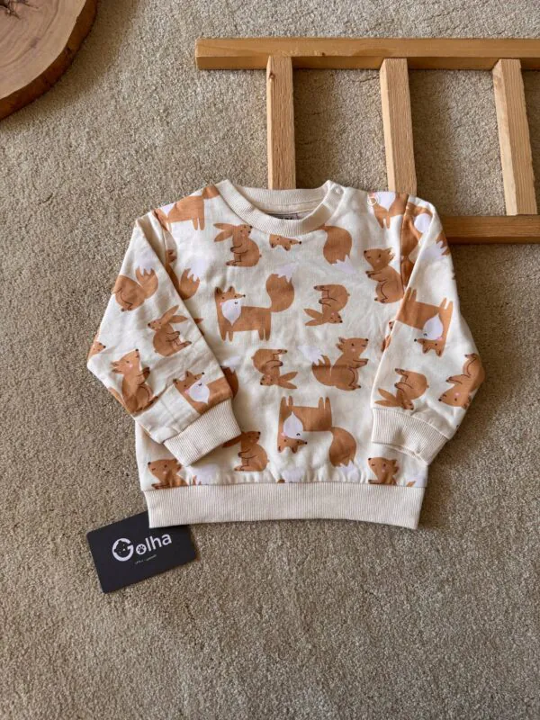 دورس روباه و سنجاب Sinsay